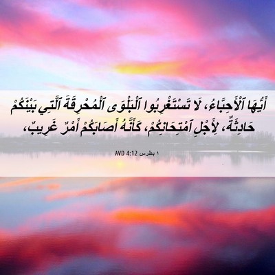 Picture 06 - ١ بطرس 4:12 AVD - أَيُّهَا ٱلْأَحِبَّاءُ، - Bible Verse Picture