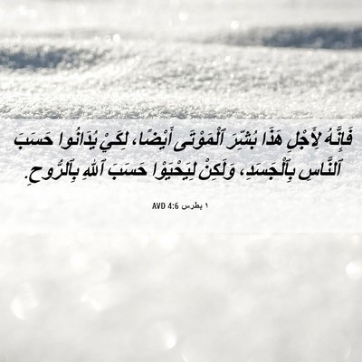 Picture 06 - ١ بطرس 4:6 AVD - فَإِنَّهُ لِأَجْلِ هَذَا - Bible Verse Picture