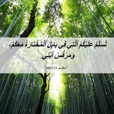 Picture 06 - ١ بطرس 5:13 AVD - تُسَلِّمُ عَلَيْكُمُ - Bible Verse Picture
