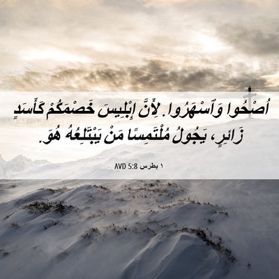 Picture 06 - ١ بطرس 5:8 AVD - اُصْحُوا وَٱسْهَرُوا. - Bible Verse Picture