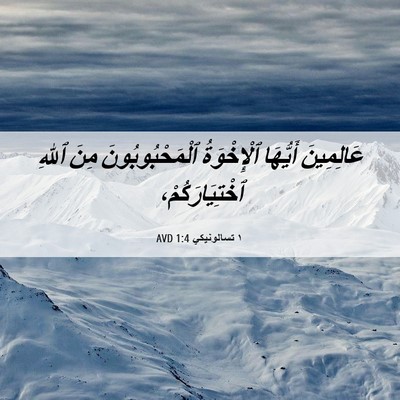 Picture 06 - ١ تسالونيكي 1:4 AVD - عَالِمِينَ أَيُّهَا - Bible Verse Picture