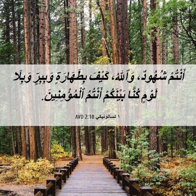 Picture 06 - ١ تسالونيكي 2:10 AVD - أَنْتُمْ شُهُودٌ، - Bible Verse Picture