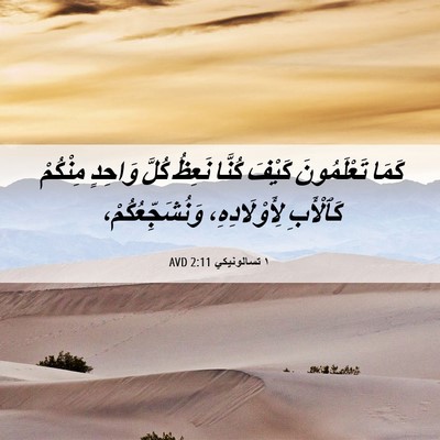 Picture 06 - ١ تسالونيكي 2:11 AVD - كَمَا تَعْلَمُونَ كَيْفَ - Bible Verse Picture