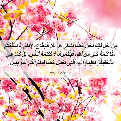 Picture 06 - ١ تسالونيكي 2:13 AVD - مِنْ أَجْلِ ذَلِكَ نَحْنُ - Bible Verse Picture