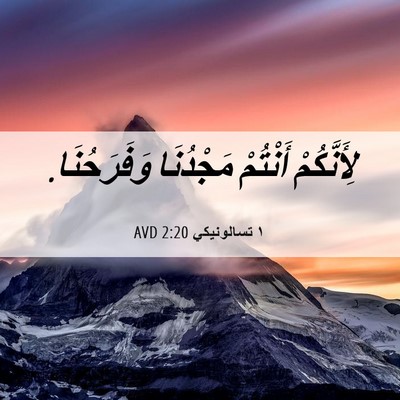 Picture 06 - ١ تسالونيكي 2:20 AVD - لِأَنَّكُمْ أَنْتُمْ - Bible Verse Picture