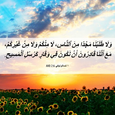Picture 06 - ١ تسالونيكي 2:6 AVD - وَلَا طَلَبْنَا مَجْدًا - Bible Verse Picture