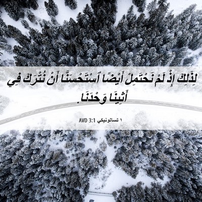 Picture 06 - ١ تسالونيكي 3:1 AVD - لِذَلِكَ إِذْ لَمْ - Bible Verse Picture