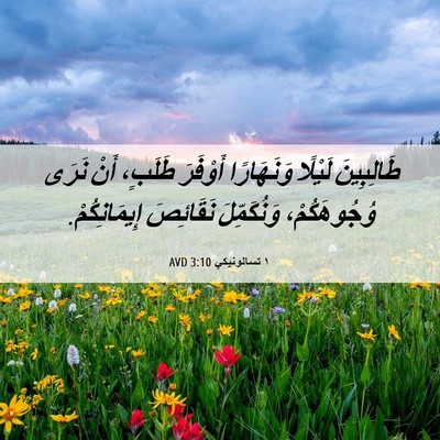 Picture 06 - ١ تسالونيكي 3:10 AVD - طَالِبِينَ لَيْلًا - Bible Verse Picture