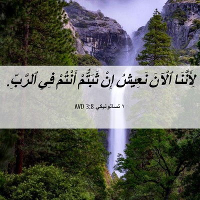 Picture 06 - ١ تسالونيكي 3:8 AVD - لِأَنَّنَا ٱلْآنَ نَعِيشُ - Bible Verse Picture