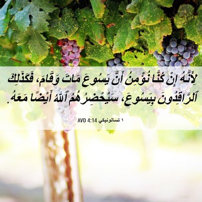 Picture 06 - ١ تسالونيكي 4:14 AVD - لِأَنَّهُ إِنْ كُنَّا - Bible Verse Picture
