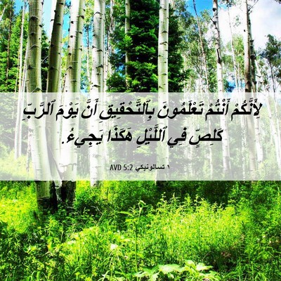 Picture 06 - ١ تسالونيكي 5:2 AVD - لِأَنَّكُمْ أَنْتُمْ - Bible Verse Picture