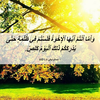Picture 06 - ١ تسالونيكي 5:4 AVD - وَأَمَّا أَنْتُمْ - Bible Verse Picture