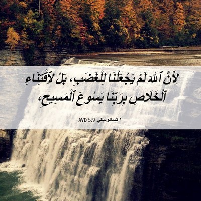 Picture 06 - ١ تسالونيكي 5:9 AVD - لِأَنَّ ٱللهَ لَمْ - Bible Verse Picture