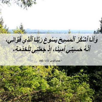 Picture 06 - ١ تيموثاوس 1:12 AVD - وَأَنَا أَشْكُرُ - Bible Verse Picture