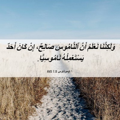 Picture 06 - ١ تيموثاوس 1:8 AVD - وَلَكِنَّنَا نَعْلَمُ - Bible Verse Picture