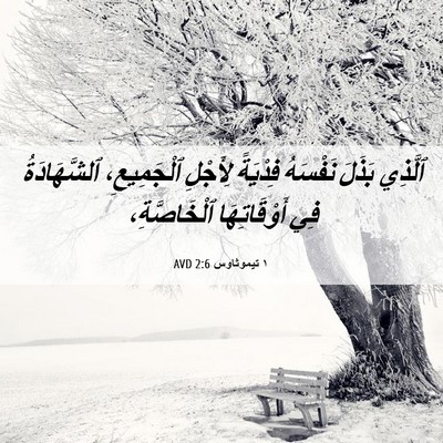 Picture 06 - ١ تيموثاوس 2:6 AVD - ٱلَّذِي بَذَلَ نَفْسَهُ - Bible Verse Picture