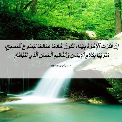 Picture 06 - ١ تيموثاوس 4:6 AVD - إِنْ فَكَّرْتَ - Bible Verse Picture