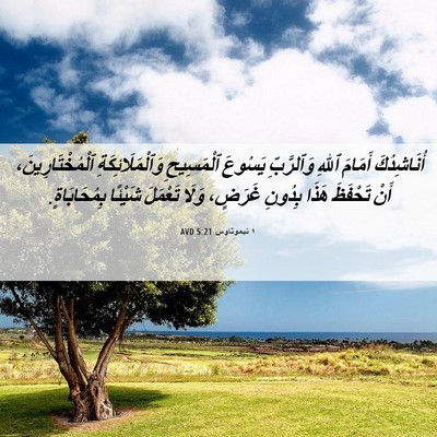 Picture 06 - ١ تيموثاوس 5:21 AVD - أُنَاشِدُكَ أَمَامَ ٱللهِ - Bible Verse Picture