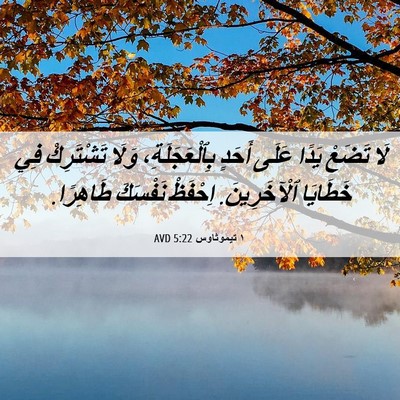 Picture 06 - ١ تيموثاوس 5:22 AVD - لَا تَضَعْ يَدًا عَلَى - Bible Verse Picture