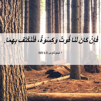 Picture 06 - ١ تيموثاوس 6:8 AVD - فَإِنْ كَانَ لَنَا قُوتٌ - Bible Verse Picture
