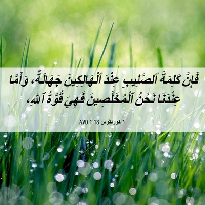 Picture 06 - ١ كورنثوس 1:18 AVD - فَإِنَّ كَلِمَةَ - Bible Verse Picture