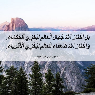 Picture 06 - ١ كورنثوس 1:27 AVD - بَلِ ٱخْتَارَ ٱللهُ - Bible Verse Picture