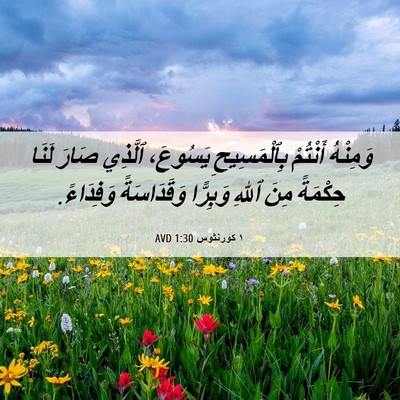 Picture 06 - ١ كورنثوس 1:30 AVD - وَمِنْهُ أَنْتُمْ - Bible Verse Picture