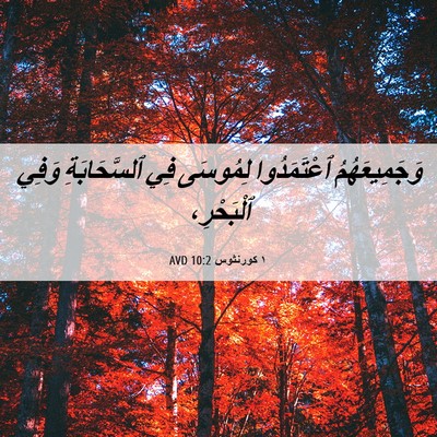 Picture 06 - ١ كورنثوس 10:2 AVD - وَجَمِيعَهُمُ ٱعْتَمَدُوا - Bible Verse Picture