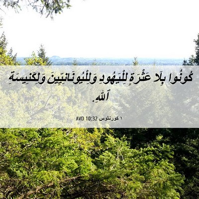 Picture 06 - ١ كورنثوس 10:32 AVD - كُونُوا بِلَا عَثْرَةٍ - Bible Verse Picture