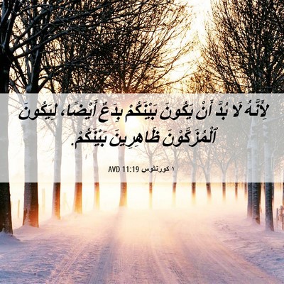 Picture 06 - ١ كورنثوس 11:19 AVD - لِأَنَّهُ لَا بُدَّ أَنْ - Bible Verse Picture