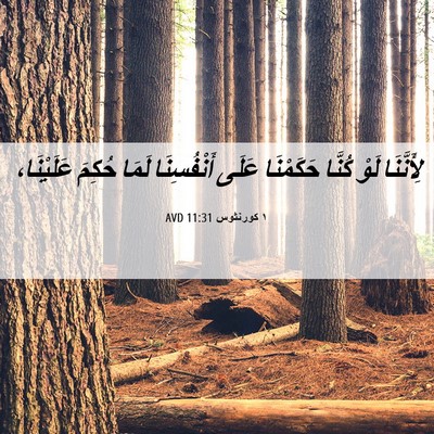 Picture 06 - ١ كورنثوس 11:31 AVD - لِأَنَّنَا لَوْ كُنَّا - Bible Verse Picture
