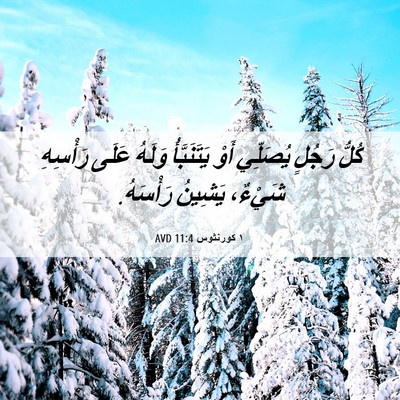 Picture 06 - ١ كورنثوس 11:4 AVD - كُلُّ رَجُلٍ يُصَلِّي أَوْ - Bible Verse Picture