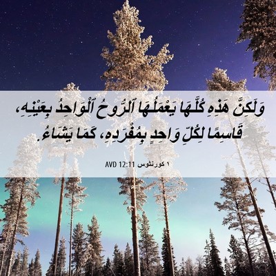 Picture 06 - ١ كورنثوس 12:11 AVD - وَلَكِنَّ هَذِهِ كُلَّهَا - Bible Verse Picture