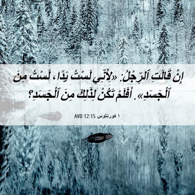 Picture 06 - ١ كورنثوس 12:15 AVD - إِنْ قَالَتِ ٱلرِّجْلُ: - Bible Verse Picture