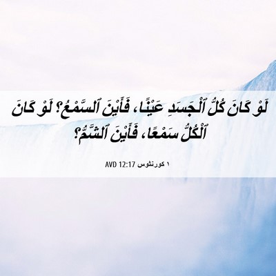Picture 06 - ١ كورنثوس 12:17 AVD - لَوْ كَانَ كُلُّ ٱلْجَسَدِ - Bible Verse Picture