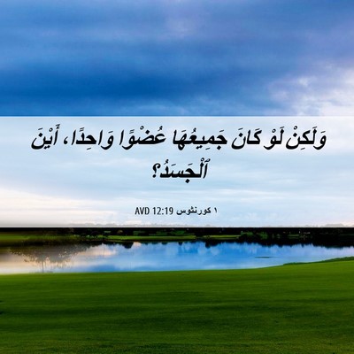 Picture 06 - ١ كورنثوس 12:19 AVD - وَلَكِنْ لَوْ كَانَ - Bible Verse Picture