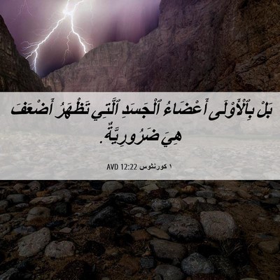 Picture 06 - ١ كورنثوس 12:22 AVD - بَلْ بِٱلْأَوْلَى - Bible Verse Picture