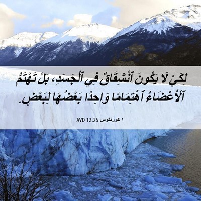 Picture 06 - ١ كورنثوس 12:25 AVD - لِكَيْ لَا يَكُونَ - Bible Verse Picture