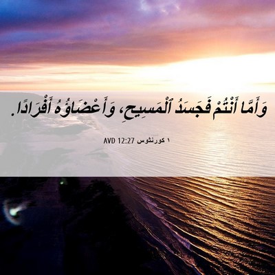 Picture 06 - ١ كورنثوس 12:27 AVD - وَأَمَّا أَنْتُمْ - Bible Verse Picture