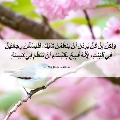 Picture 06 - ١ كورنثوس 14:35 AVD - وَلَكِنْ إِنْ كُنَّ - Bible Verse Picture