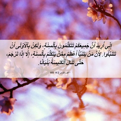 Picture 06 - ١ كورنثوس 14:5 AVD - إِنِّي أُرِيدُ أَنَّ - Bible Verse Picture