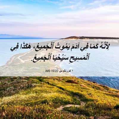 Picture 06 - ١ كورنثوس 15:22 AVD - لِأَنَّهُ كَمَا فِي آدَمَ - Bible Verse Picture