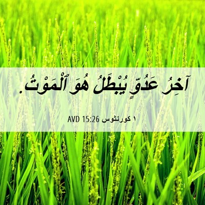 Picture 06 - ١ كورنثوس 15:26 AVD - آخِرُ عَدُوٍّ يُبْطَلُ - Bible Verse Picture