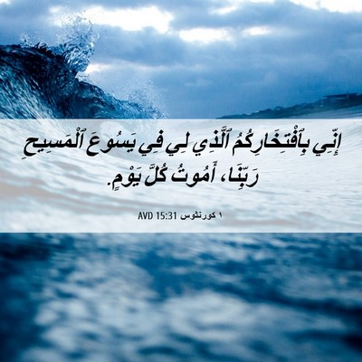 Picture 06 - ١ كورنثوس 15:31 AVD - إِنِّي بِٱفْتِخَارِكُمُ - Bible Verse Picture