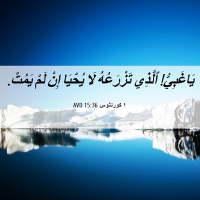 Picture 06 - ١ كورنثوس 15:36 AVD - يَاغَبِيُّ! ٱلَّذِي - Bible Verse Picture