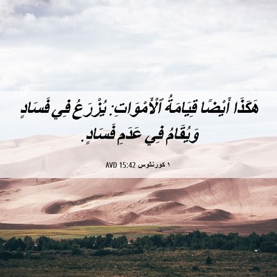 Picture 06 - ١ كورنثوس 15:42 AVD - هَكَذَا أَيْضًا قِيَامَةُ - Bible Verse Picture