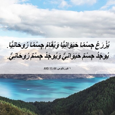 Picture 06 - ١ كورنثوس 15:44 AVD - يُزْرَعُ جِسْمًا - Bible Verse Picture