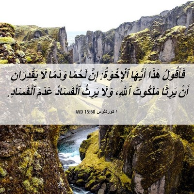 Picture 06 - ١ كورنثوس 15:50 AVD - فَأَقُولُ هَذَا أَيُّهَا - Bible Verse Picture