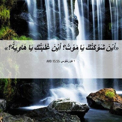 Picture 06 - ١ كورنثوس 15:55 AVD - «أَيْنَ شَوْكَتُكَ يَا - Bible Verse Picture
