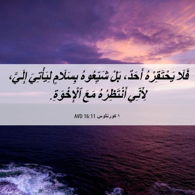 Picture 06 - ١ كورنثوس 16:11 AVD - فَلَا يَحْتَقِرْهُ - Bible Verse Picture